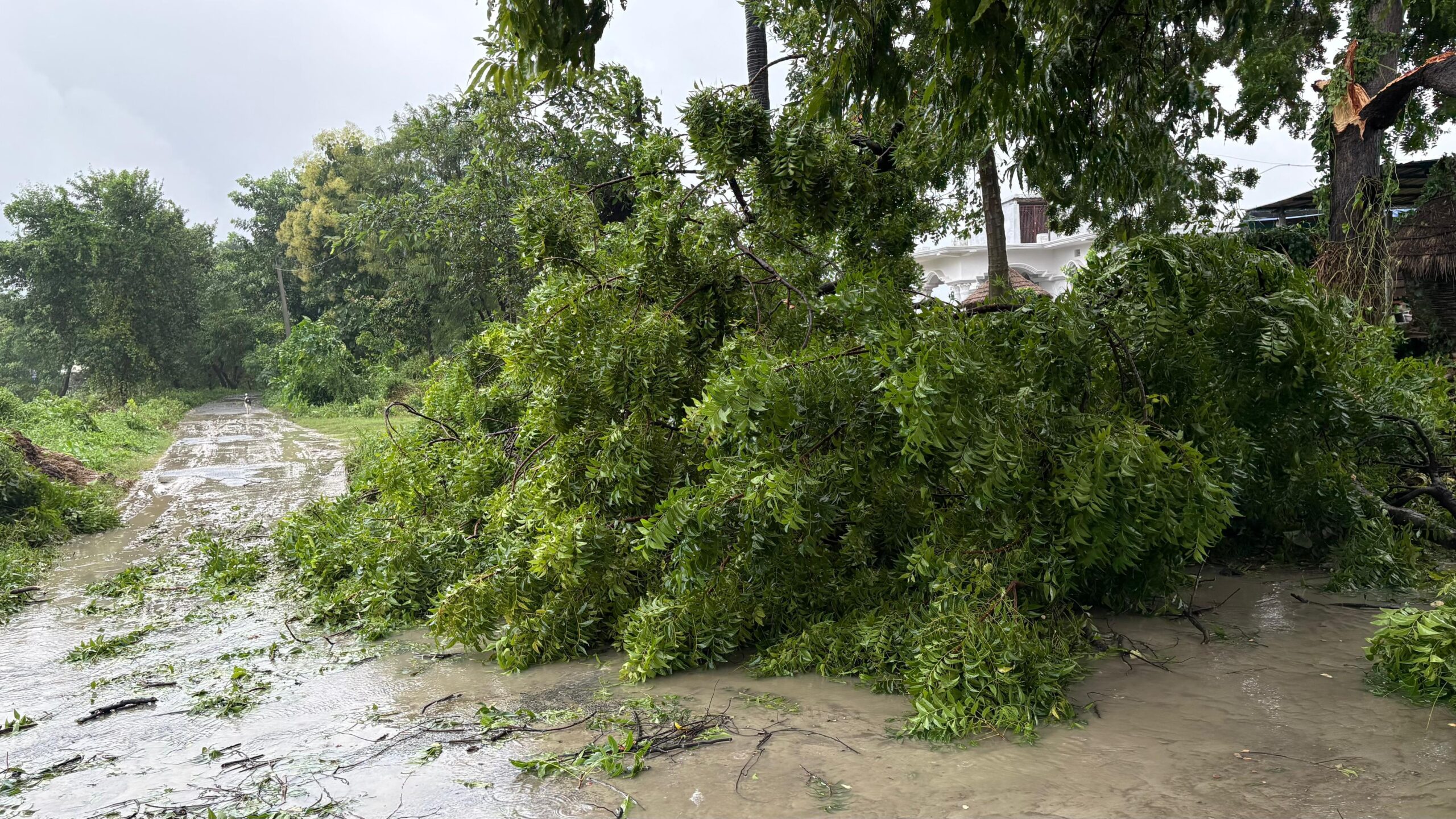 छपरा में मूसलाधार बारिश से बाढ़ जैसे हालात, कार्यालयों से लेकर घरों में घुसा पानी